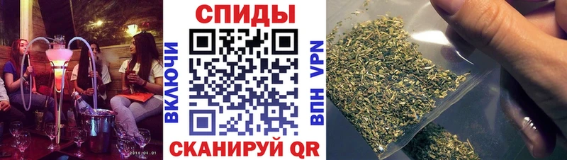закладки Новошахтинск БУТИРАТ BDO