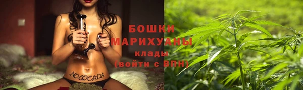 трава Волоколамск