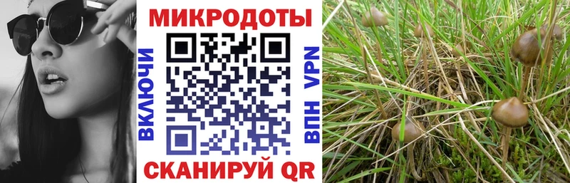 Галлюциногенные грибы мухоморы  цены наркотик  OMG ссылка  Новошахтинск 